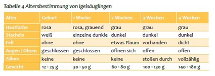 Tabelle