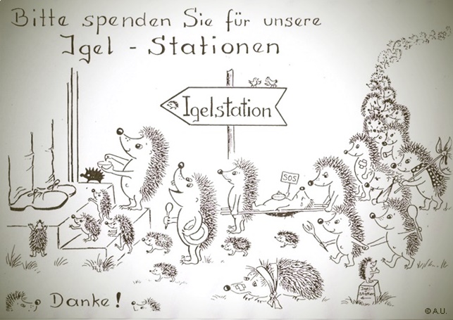 Zeichnung Igelstation