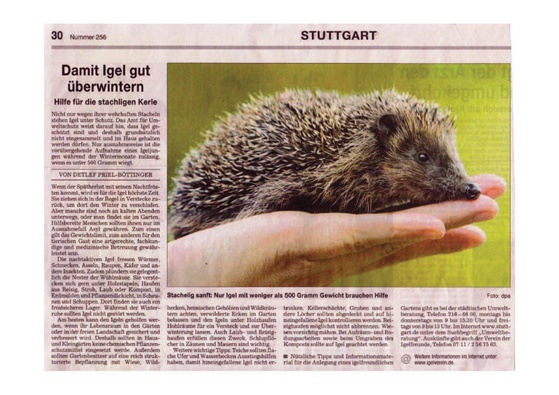 Zeitungsartikel