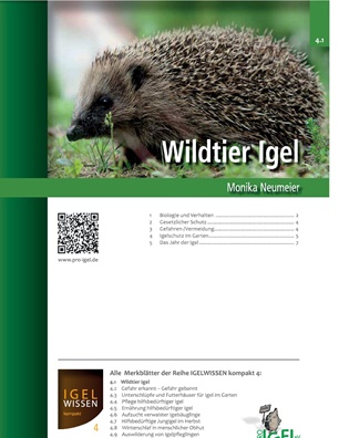 Wildtier Igel