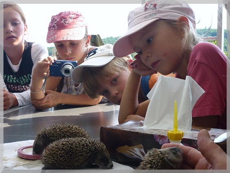 Kindergeburtstag 2012