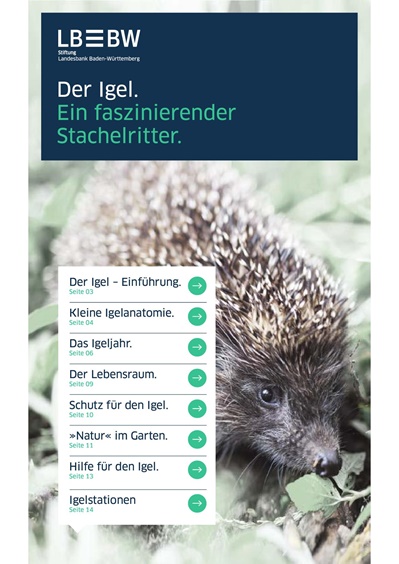 Broschüre
