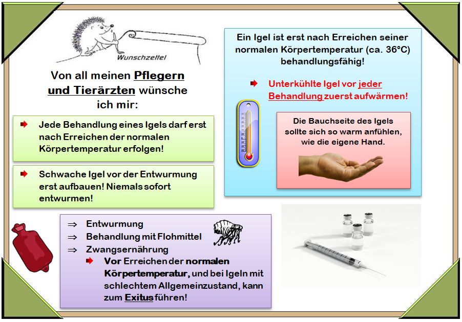 Igelwunschzettel