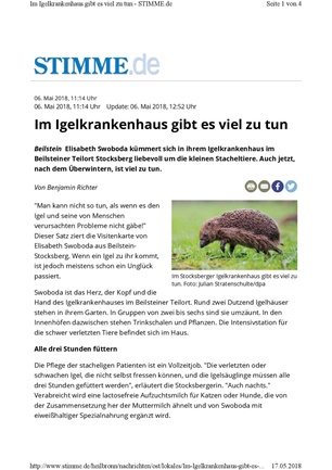 Zeitungsartikel 10